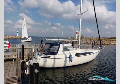 Maxi 100 PS Segelboot 2024, mit Volvo Penta 2030  motor, Sweden