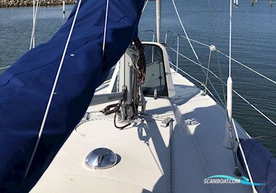 Maxi 84 Segelboot 1982, mit Vetus M2 13A motor, Dänemark