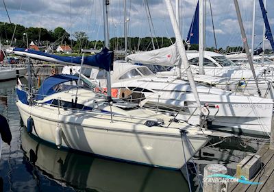 Maxi Fenix Dinette Segelboot 1981, mit Volvo Penta MD5 motor, Dänemark