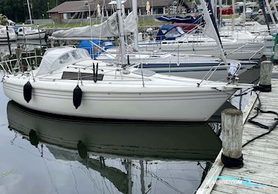Maxi Fenix Dinettet Segelboot 1981, mit Volvo Penta MD5B motor, Dänemark