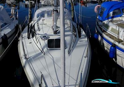 Maxi Fenix Dinettet Segelboot 1981, mit Volvo Penta MD5B motor, Dänemark