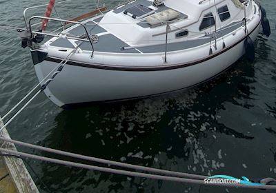 Midget 26 Segelboot 1987, mit Yanmar 3GM30F motor, Deutschland