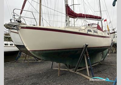 Midget 31 Segelboot 2003, mit Vetus 33 motor, England