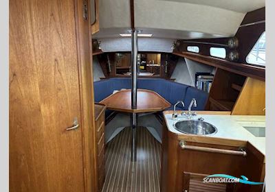 Midget 31 Segelboot 2003, mit Vetus 33 motor, England