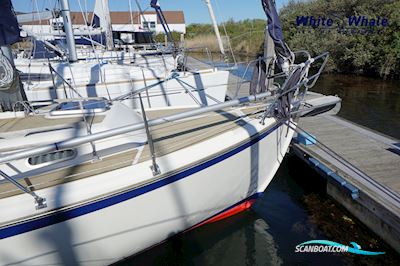 Midget 31 Segelboot 2008, mit Mitsubishi motor, Niederlande