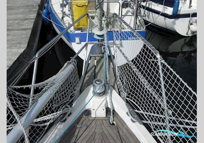 Moen 331 Segelboot 1986, mit Bukh motor, Niederlande