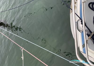 Møn 331 Segelboot 1988, mit Yanmar motor, Dänemark