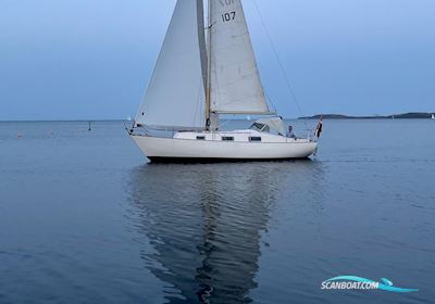 Monsun 31 Segelboot 1974, mit Volvo Penta MD2B motor, Dänemark
