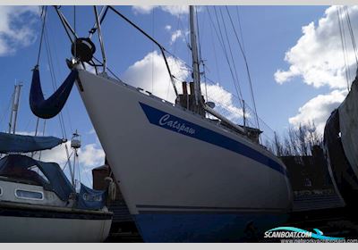 Moody 27 Segelboot 1983, mit Beta Marine motor, England