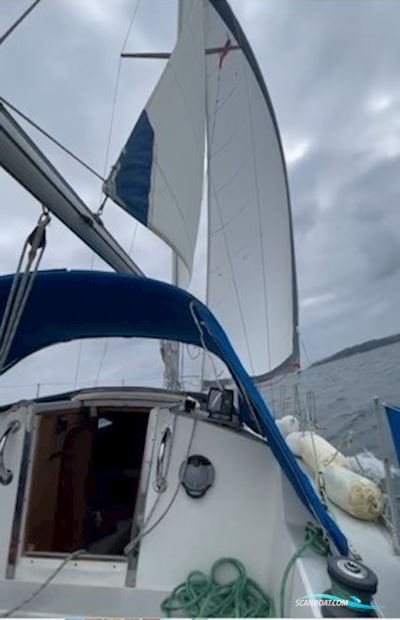Moody 27 Segelboot 1985, mit Volvo motor, Irland