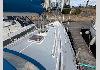 Moody 29 Segelboot 1982, mit Bukh motor, England