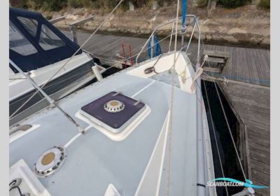 Moody 29 Segelboot 1982, mit Bukh motor, England