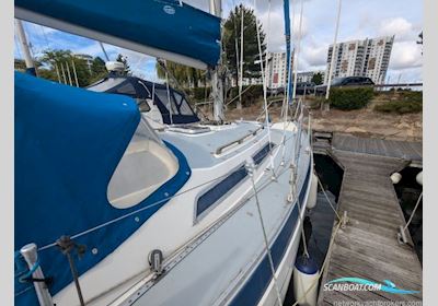 Moody 29 Segelboot 1982, mit Bukh motor, England