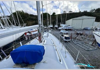 Moody 29 Segelboot 1981, mit Beta motor, Irland