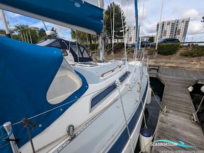 Moody 29 Segelboot 1982, mit Bukh motor, England