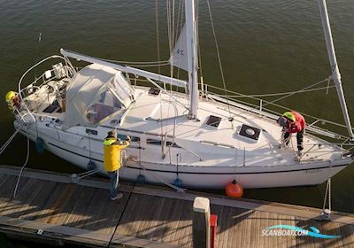 Moody 336 Segelboot 1989, mit VP d1-30 motor, Niederlande