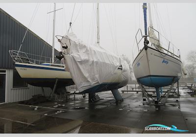 Moody 34 Segelboot 1986, mit Thornycroft motor, Niederlande