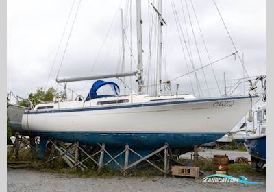 Moody 36 Segelboot 1980, mit Beta motor, Irland