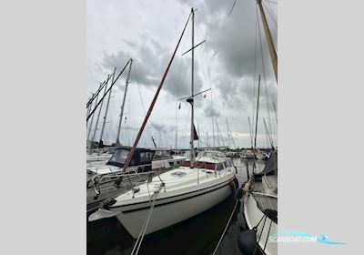 Moody Eclipse 33 Segelboot 1988, mit Craftman motor, Niederlande