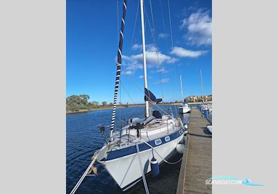 Morgan 41 Classic Segelboot 1990, mit Yanmar 4Jhbe Diesel motor, Italien