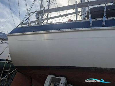 Morgan 41 Segelboot 1982, mit Yanmar motor, Keine Länderinfo