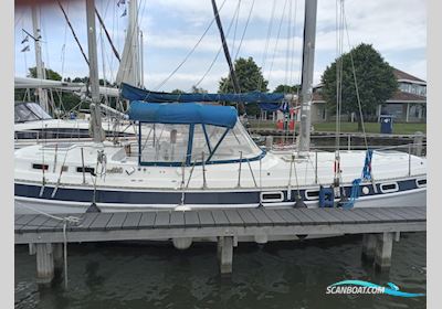 Morgan Out Island 41 Segelboot 1982, mit Yanmar motor, Niederlande