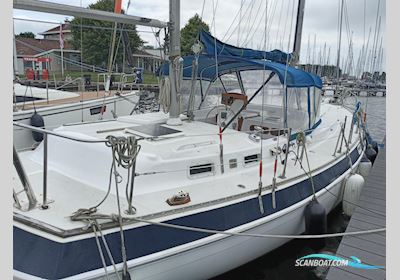 Morgan Out Island 41 Segelboot 1982, mit Yanmar motor, Niederlande