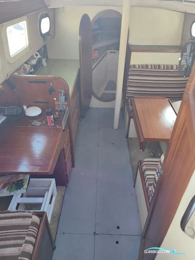 Myabca Delfin 31 Segelboot 1980, mit Perkins motor, Spanien