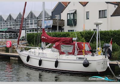 Najad 34 Segelboot 1979, mit Najad motor, Niederlande
