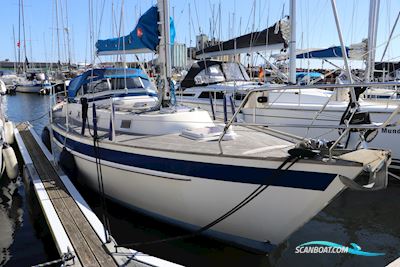 Najad 343 Segelboot 1981, mit Volvo Penta D2- 75HP motor, Sweden