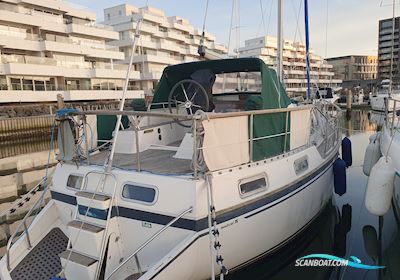 Nauticat 35 Segelboot 1984, mit Volvo Penta 2003T motor, Dänemark