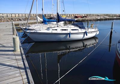 Naver 29 Segelboot 1978, mit Bukh motor, Dänemark