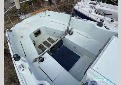 Nicholson 30 Segelboot 1972, mit Beta motor, Irland