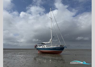 Noordkaper 42 (Gedupliceerd) (Gedupliceerd) Segelboot 1995, mit Nanni motor, Niederlande