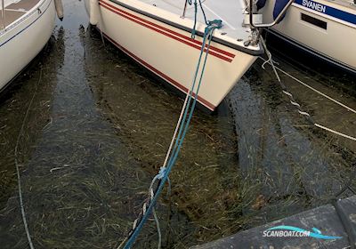 Nordship 808 Segelboot 1987, mit Nanni motor, Dänemark