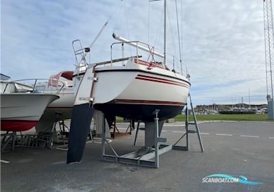 Nordship 808 Segelboot 1987, mit Nanni motor, Dänemark