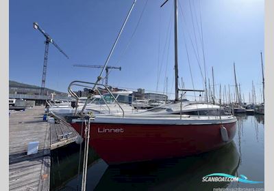 Palomino Pegasus 800 Segelboot 1979, mit Volvo Penta motor, England