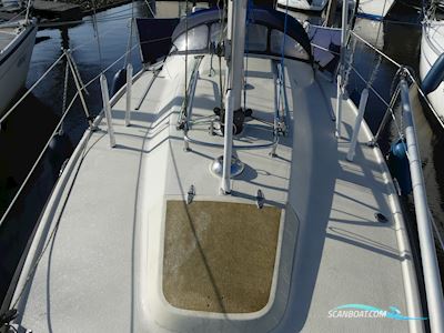 Pettersson Maxi 84 Segelboot 1981, mit Volvo Penta motor, Niederlande