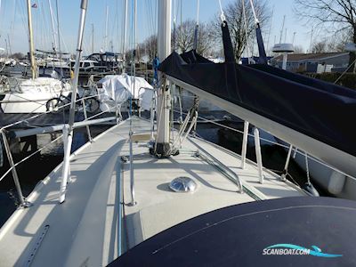 Pettersson Maxi 84 Segelboot 1981, mit Volvo Penta motor, Niederlande