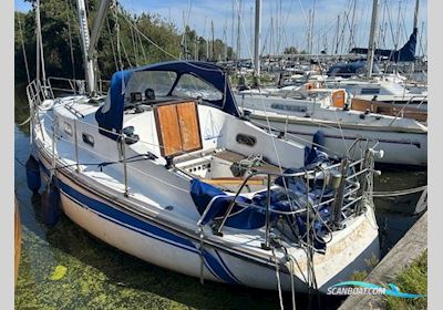 Phantom 34 Segelboot 1979, mit Bukh DV20M motor, Niederlande