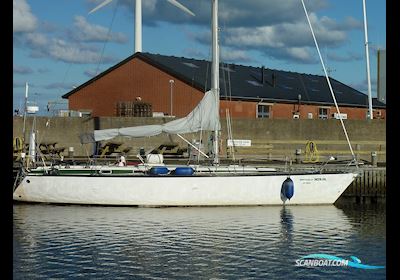 Phantom 42 - 1983 Segelboot 1983, mit Bukh motor, Dänemark