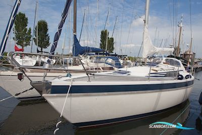 Piewiet 1000 Segelboot 1989, mit Yanmar motor, Niederlande