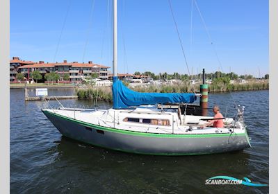 Pion 30 Segelboot 1975, Niederlande