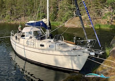 Rasmus 35 / Hallberg Rassy 35 Segelboot 1978, mit Nanni Diesel motor, Dänemark