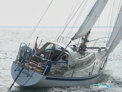 Rival 32 Segelboot 1976, mit Yanmar motor, Niederlande