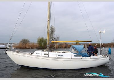 Rival 32 Segelboot 1976, Niederlande