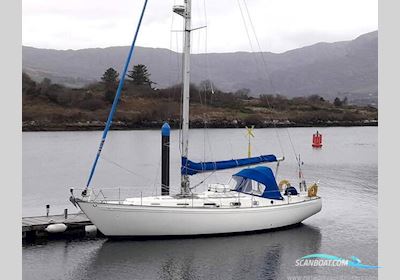 Rival 38A Segelboot 1980, mit Beta motor, Irland