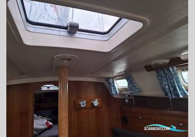 Rival Starlight 35 Segelboot 1998, mit Volvo 2030 3 Cyl motor, Irland