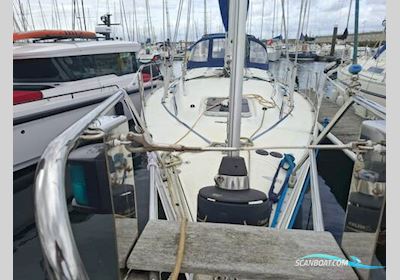 Rival Starlight 35 Segelboot 1998, mit Volvo 2030 3 Cyl motor, Irland