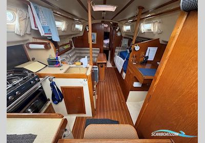 Sadler  34 Segelboot 1986, mit Bukh  DV24ME motor, England